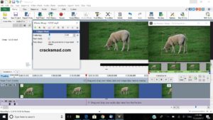 videopad video editor code