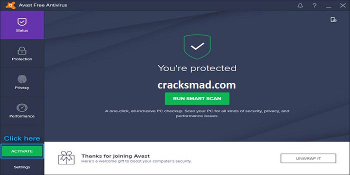 download avast premier with crack